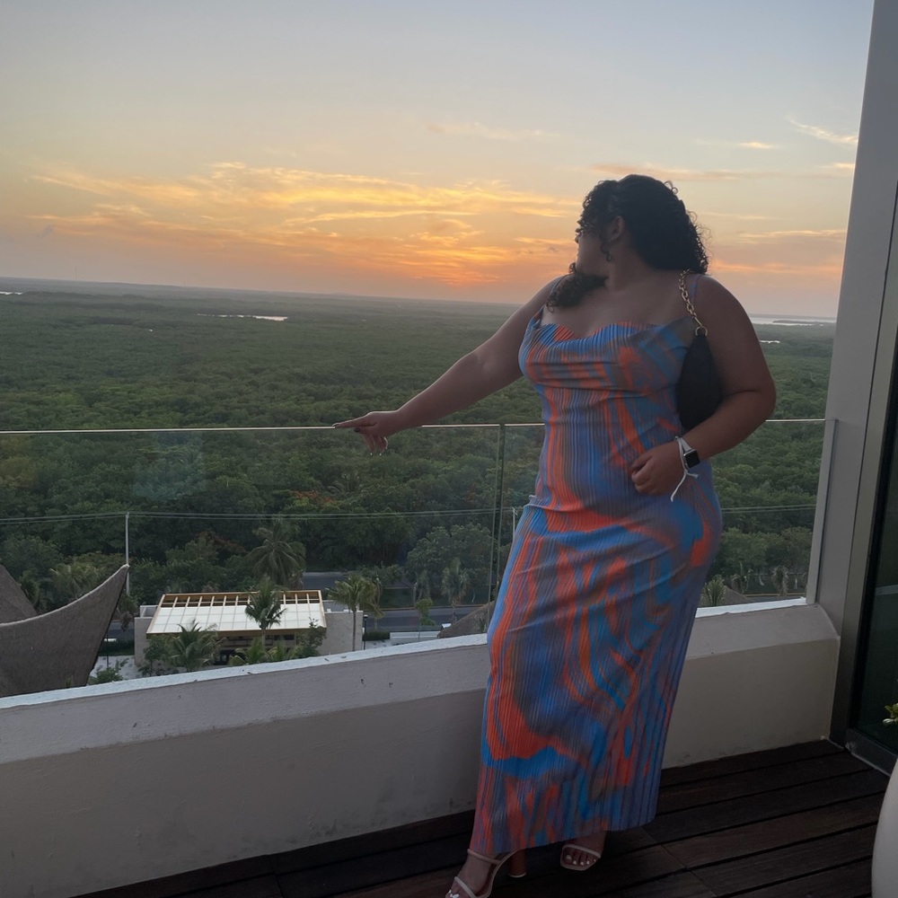 PLT Elegant Multicolor Maxi Dress